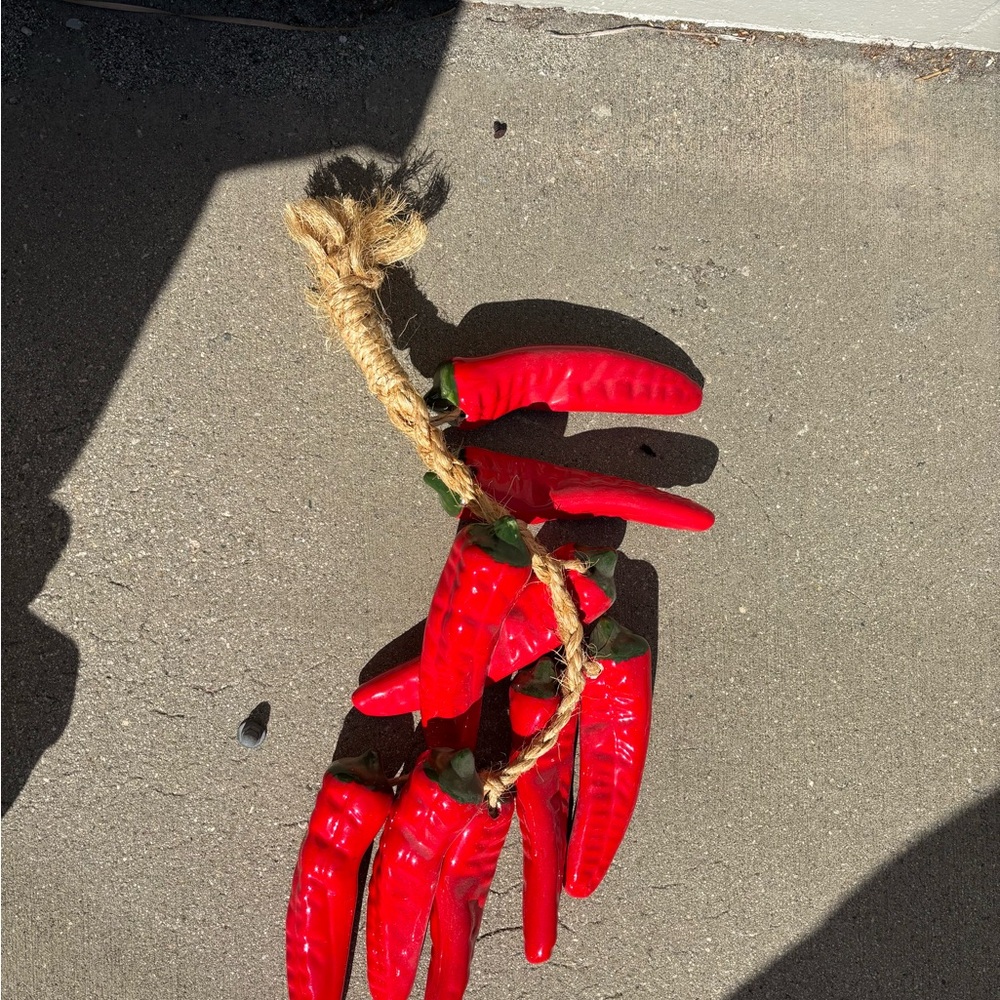 Vintage Red Chili Peppers Hanging on Rope
